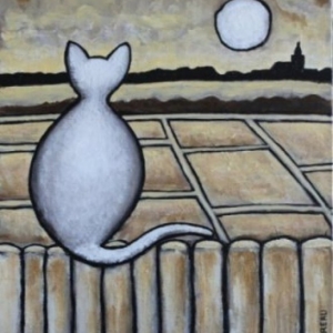 Chat observant les marais de Guérande